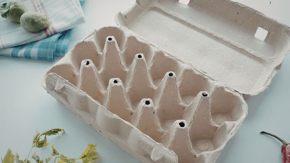 Antes de desechar el cartón de la cartera de huevos, conoce 7 formas útiles de reutilizarlo en tu hogar