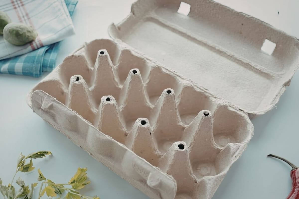 Antes de desechar el cartón de la cartera de huevos, conoce 7 formas útiles de reutilizarlo en tu hogar