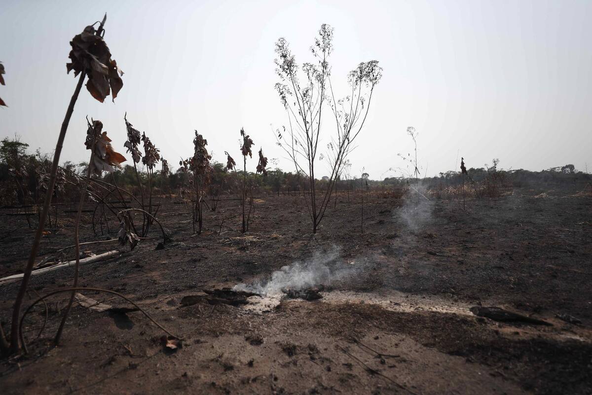 La Corte Internacional de Justicia declara ilícito incumplir compromisos climáticos