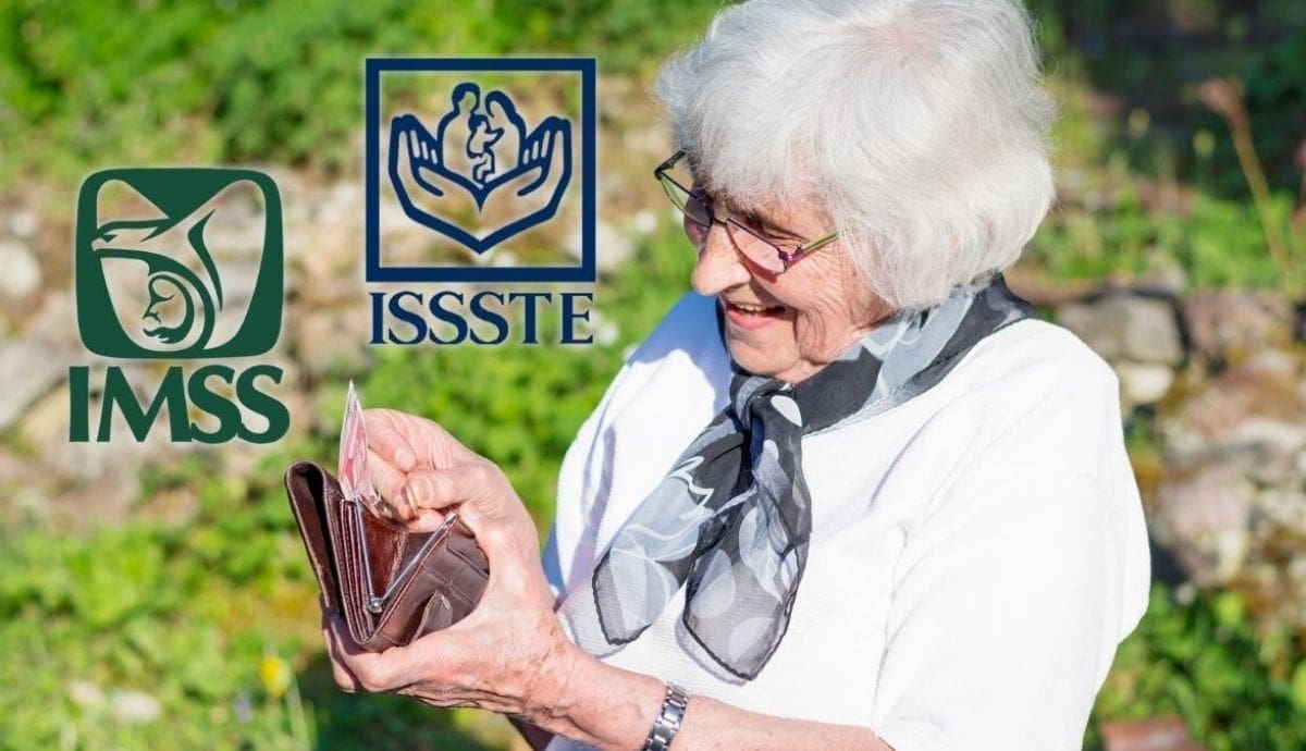 Dentro del sistema de pensiones, la entrega anticipada de esta prestación está condicionada al régimen laboral y a la institución correspondiente. | Magnific