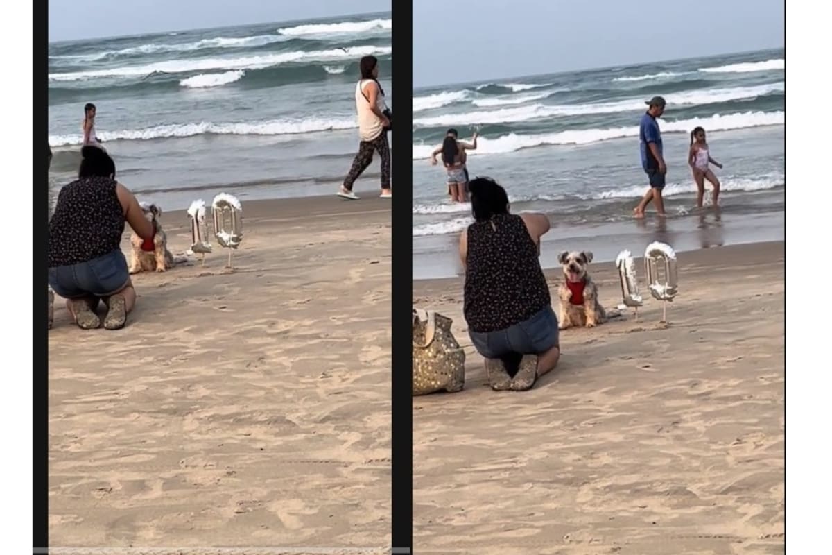 Lo más bonito que veras hoy: Mujer celebra el cumpleaños numero 10 de su perrito en la playa