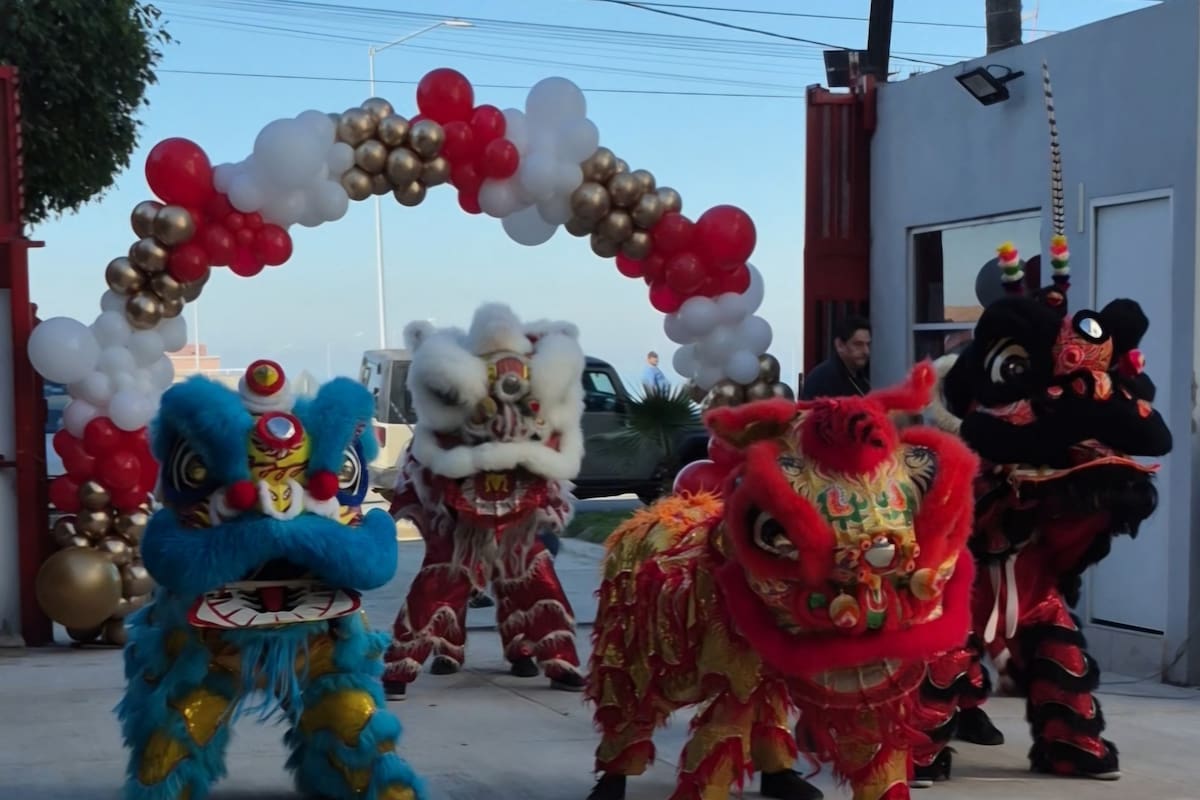 Invitan a aprender la Danza del León y otras disciplinas de China