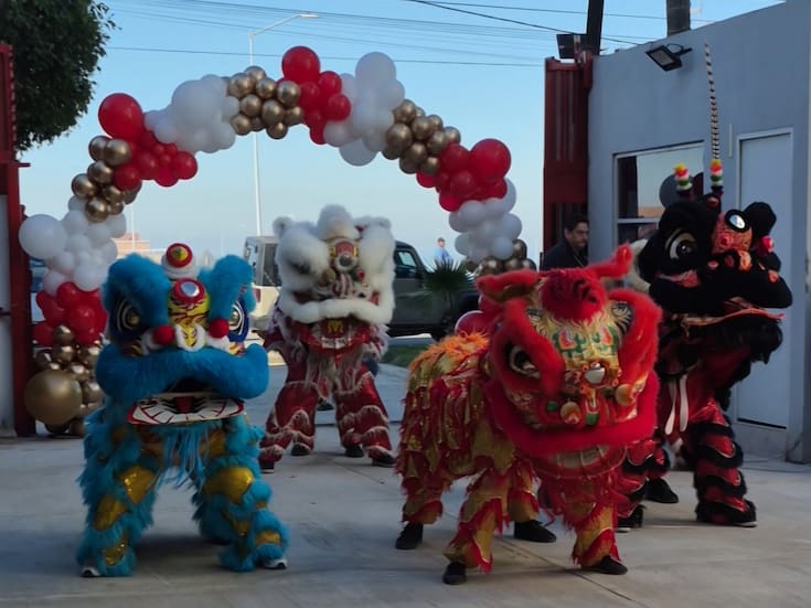 Invitan a aprender la Danza del León y otras disciplinas de China