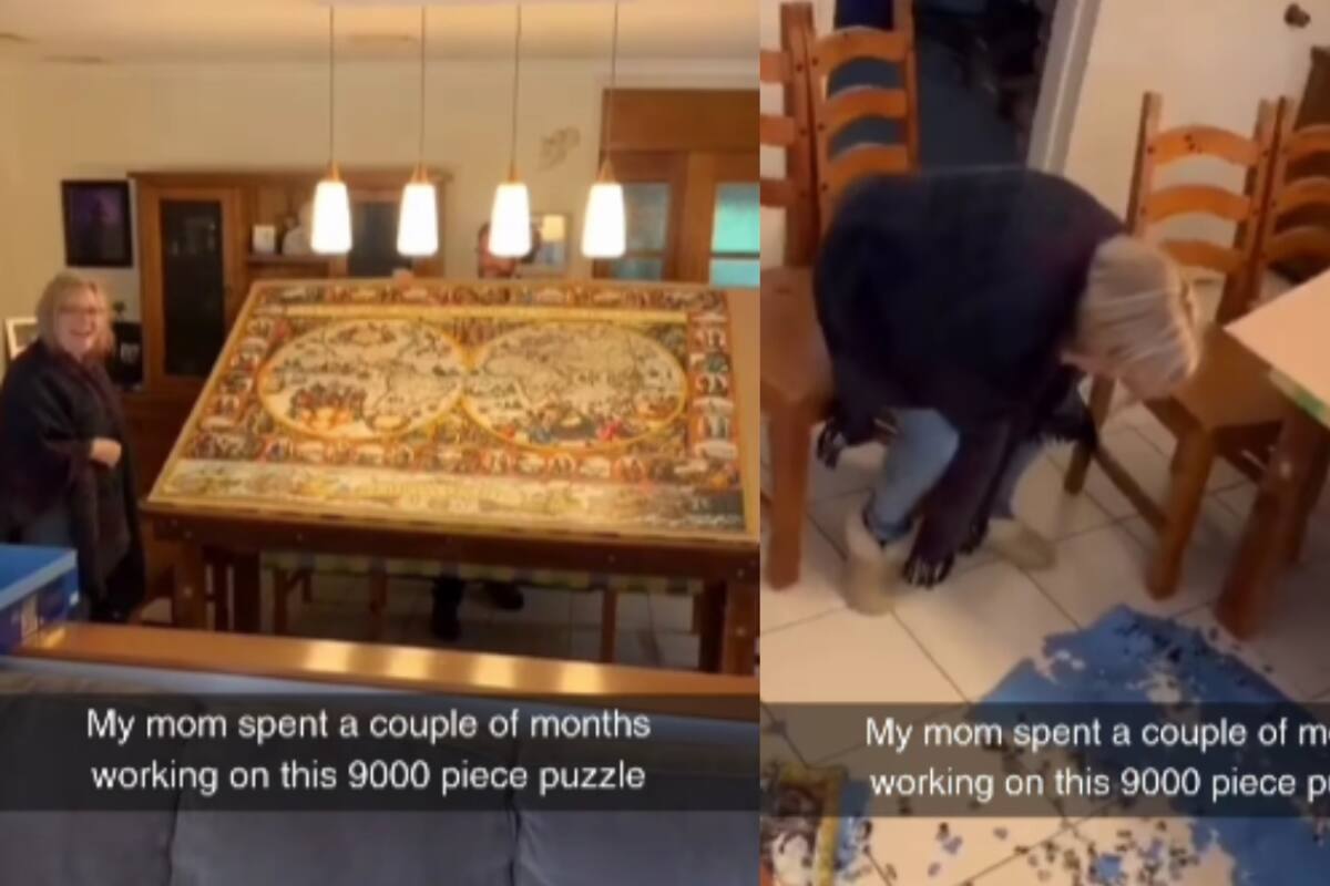 Joven graba cómo el rompecabezas de 9 mil piezas en el que su madre había trabajado durante meses se destruye completamente