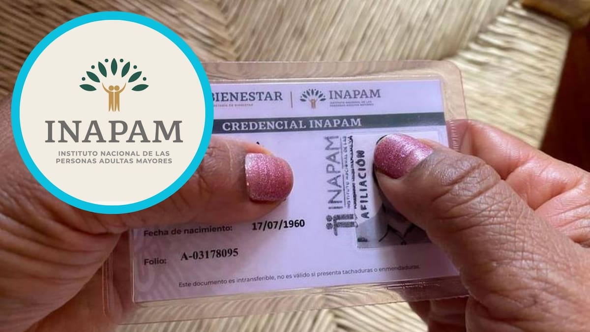 ¿Cómo reciir la beca INAPAM?
