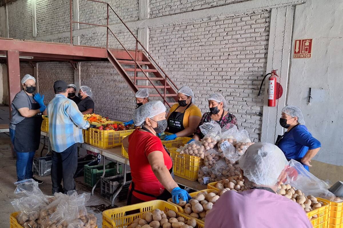 Entregan horticultores 21 mil despensas a familias en el Sur de Sonora