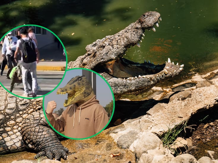 Joven therian cocodrilo fue pateado mientras caminaba por la calle imitando los movimientos del reptil; aquí el VIDEO