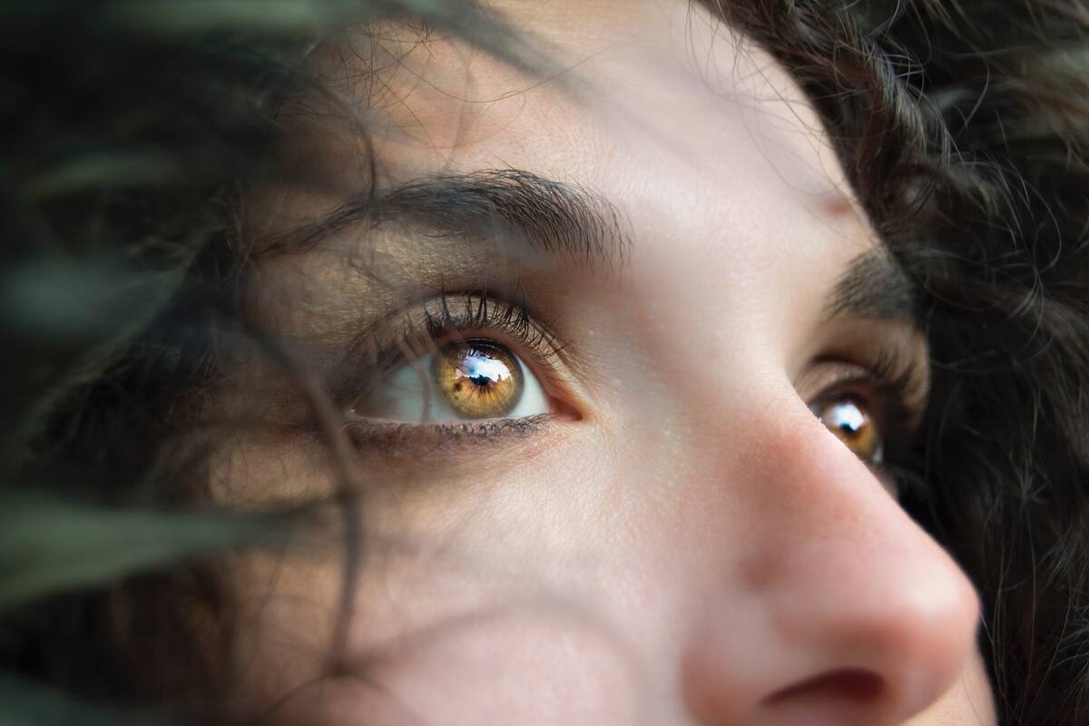 Reviven científicos células fotosensibles en ojos de donantes de órganos fallecidos