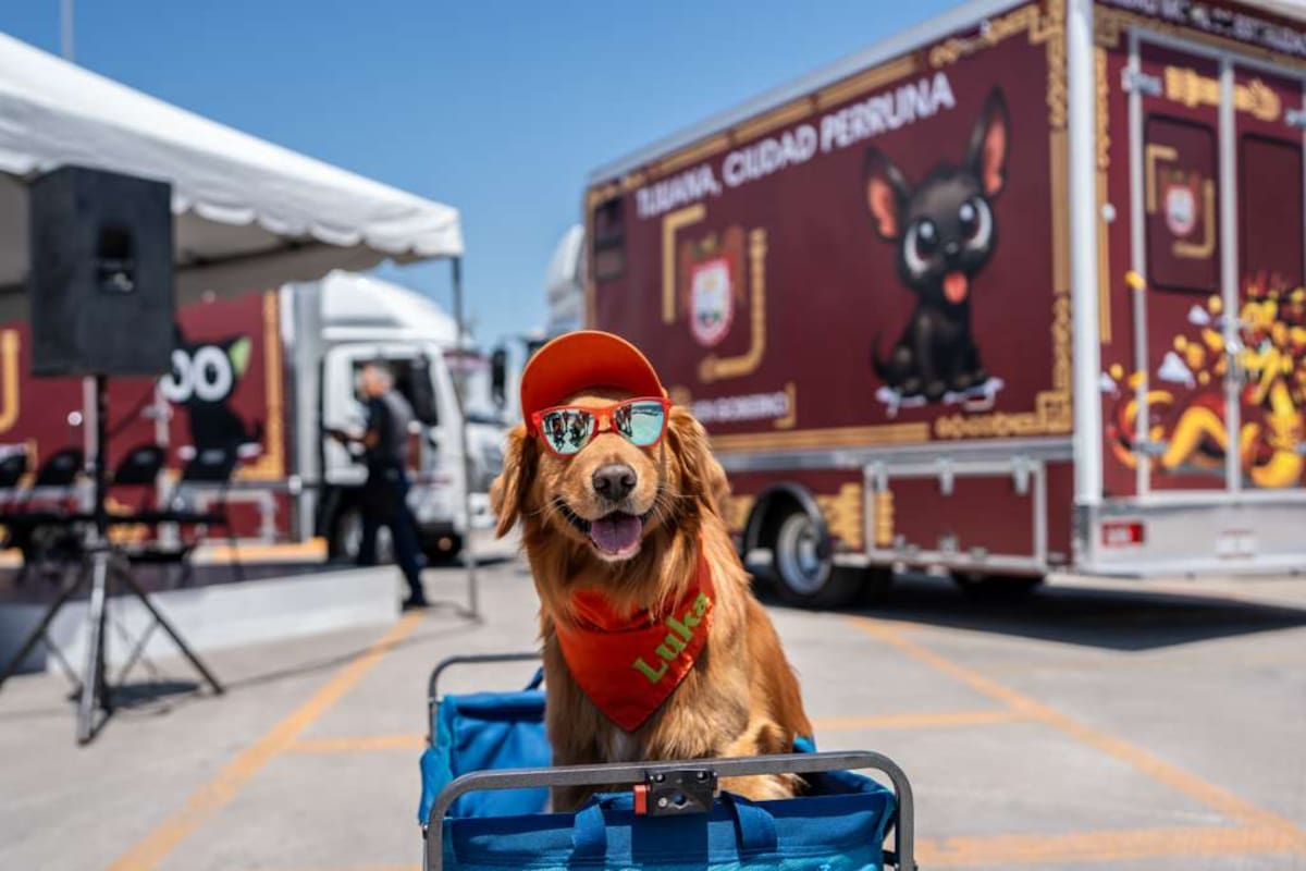 Tijuana refuerza esterilizaciones gratuitas con nuevas unidades móviles en Cerro Colorado