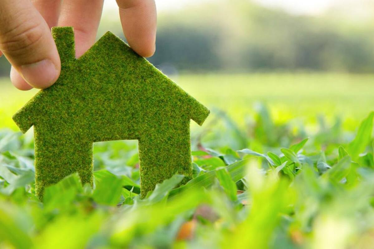 Día del medio ambiente: Cambios desde casa que ayudan a cuidarlo