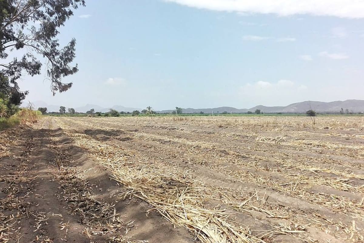 Solo una lotificadora en Mexicali se encuentra regularizada