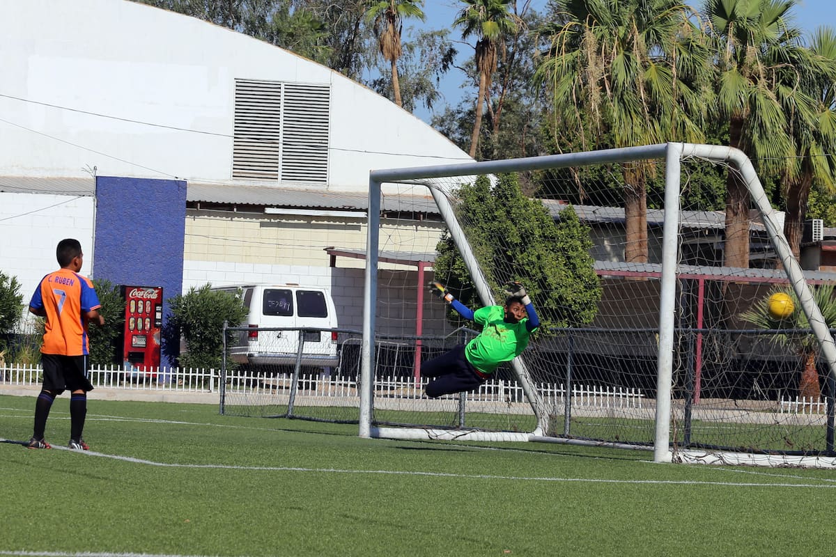 Rehabilitación del campo Necaxa concluiría en agosto
