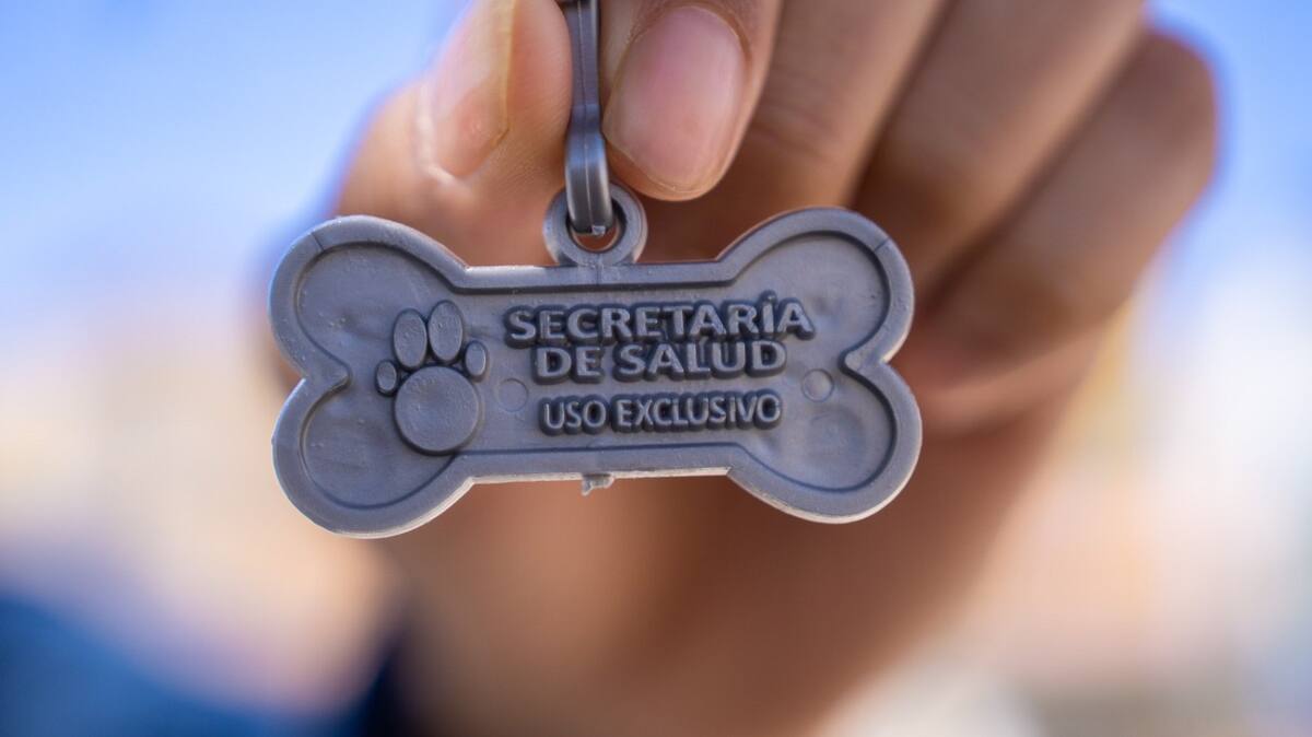 La jornada de vacunación antirrábica tiene el objetivo de reforzar acciones preventivas y mantener al estado libre de rabia.