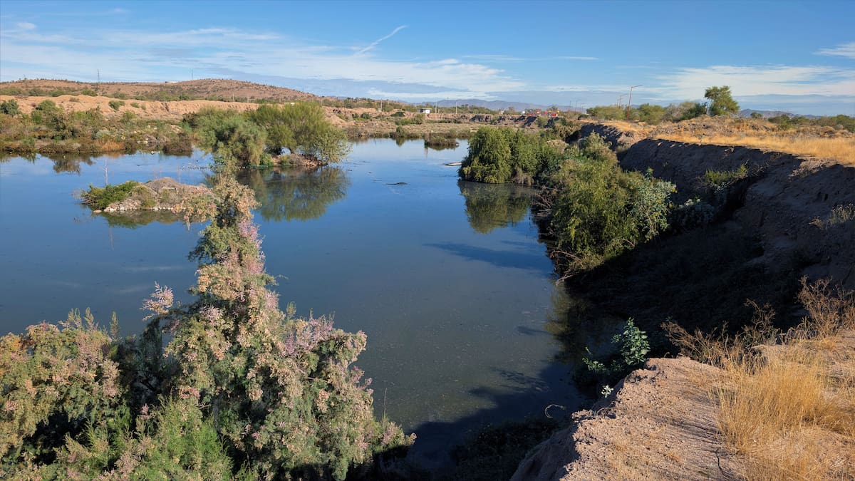 El Humedal Laguna de La Sauceda fue la fuente de agua que dio de beber a los primreros habitantes de Hermosillo, según el cronista Ignacio Lagarda Lagada. FOTO: BANCO DIGITAL