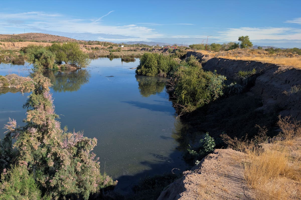 Humedal de La Sauceda sació la sed de primeros habitantes de Hermosillo
