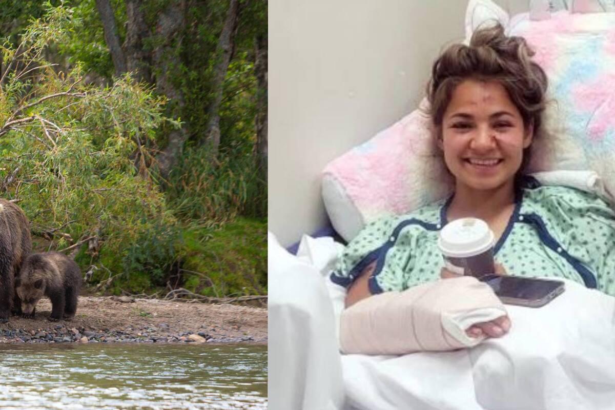 30 puntos de sutura y un brazo roto fue lo que recibió una madre atacada por un oso cuando salió a trotar