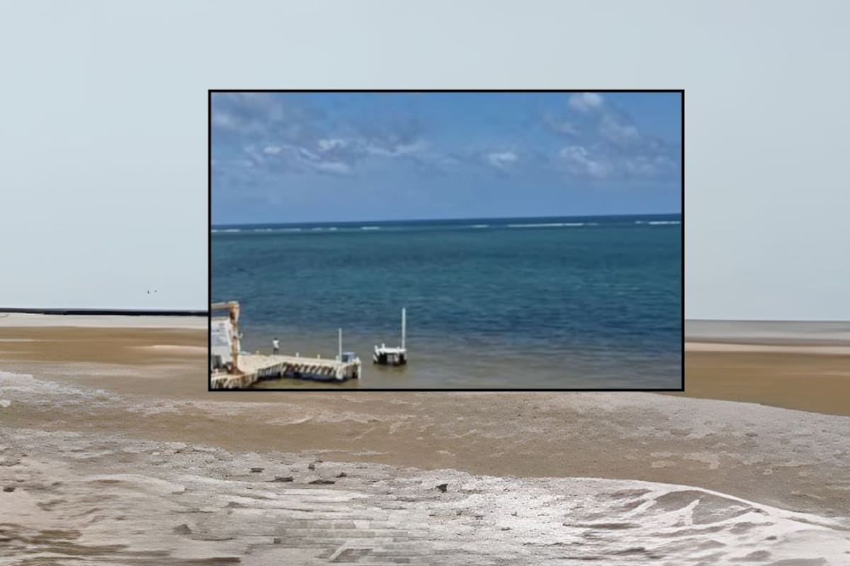 Año muy dificil para el Caribe mexicano por la alta presencia de sargazo y expertos advierten que podría no tener fin a corto plazo