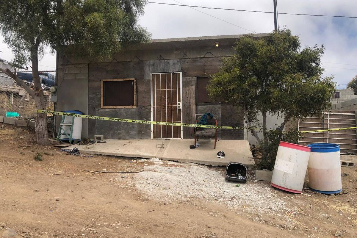 Vecinos de detenido por destazar perro en Rosarito aseguran que cayó en las drogas