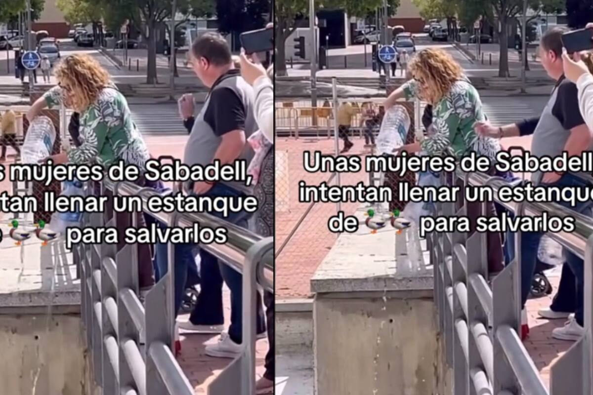 Mujeres en España se reúnen para echarle agua a un estanque de patos y así salvarlos