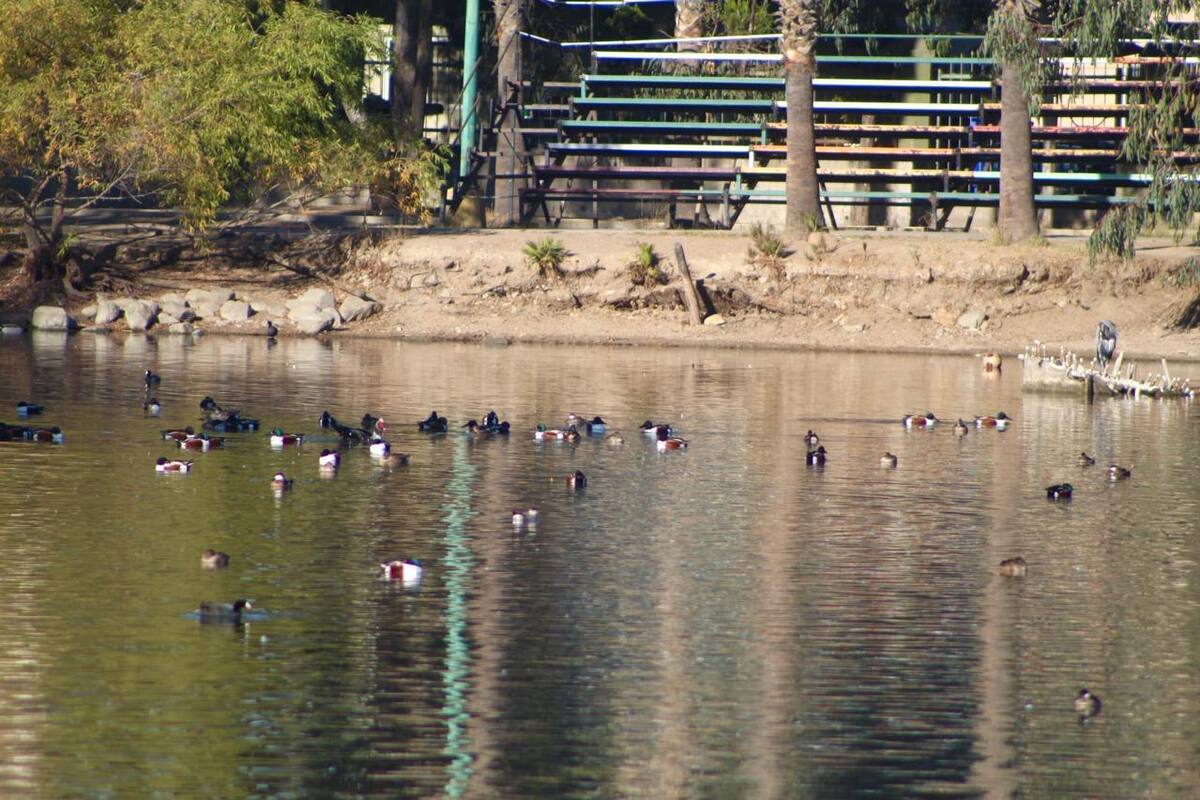 Atienden mal olor en parque de la Amistad