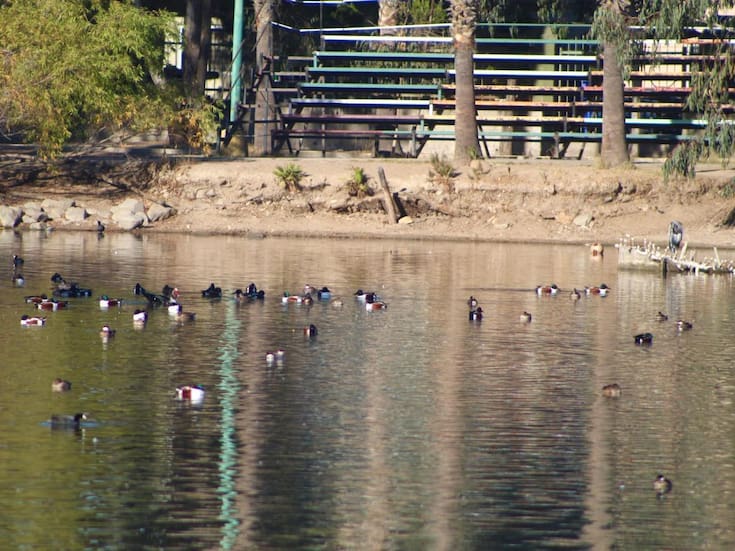 Inician plan de trabajo para mantenimiento de Parques