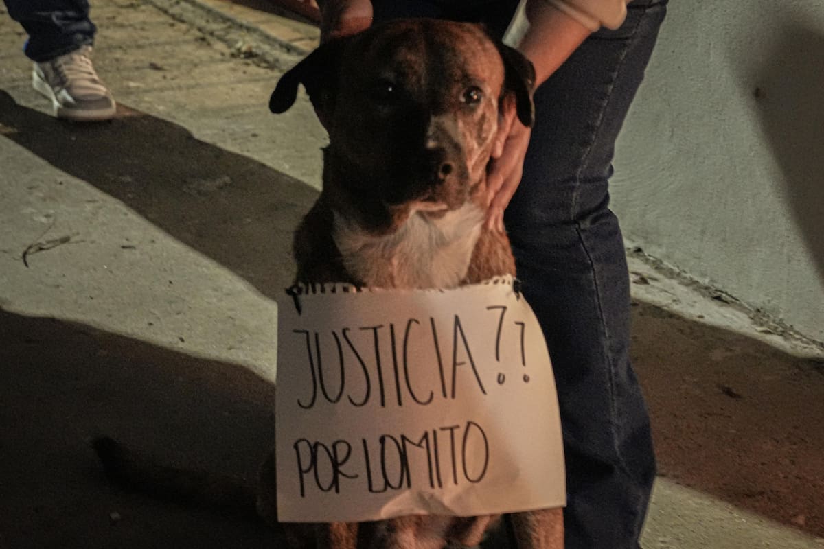 Descartan que presunto agresor de “Chatita” haya salido libre bajo fianza