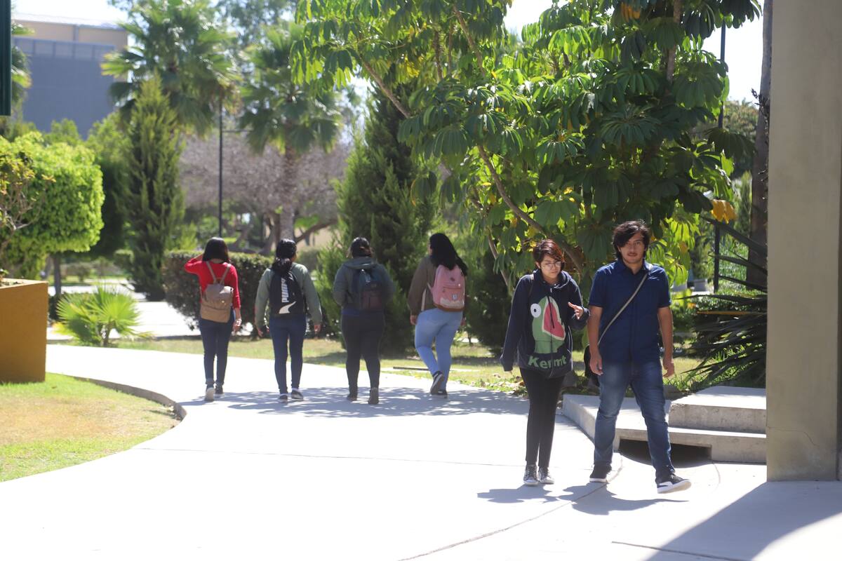 Jóvenes serán los más golpeados por crisis económica