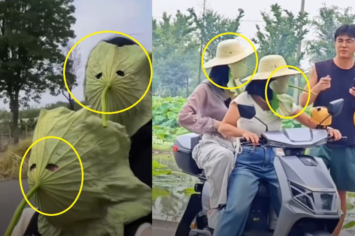 “¿Son espantapájaros? No”: así es la peculiar forma en que algunas personas en Asia se protegen del sol