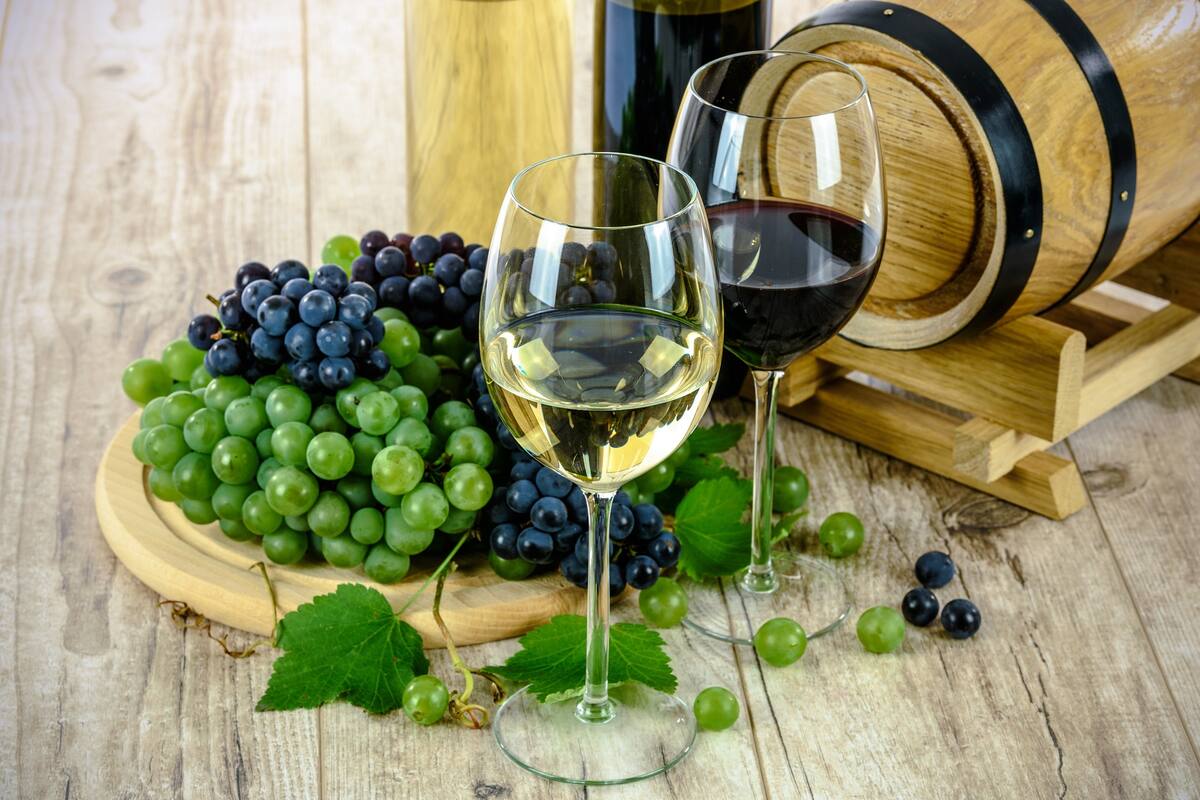 AMLO busca declarar el 7 de octuubre como el "Día del Vino Mexicano"