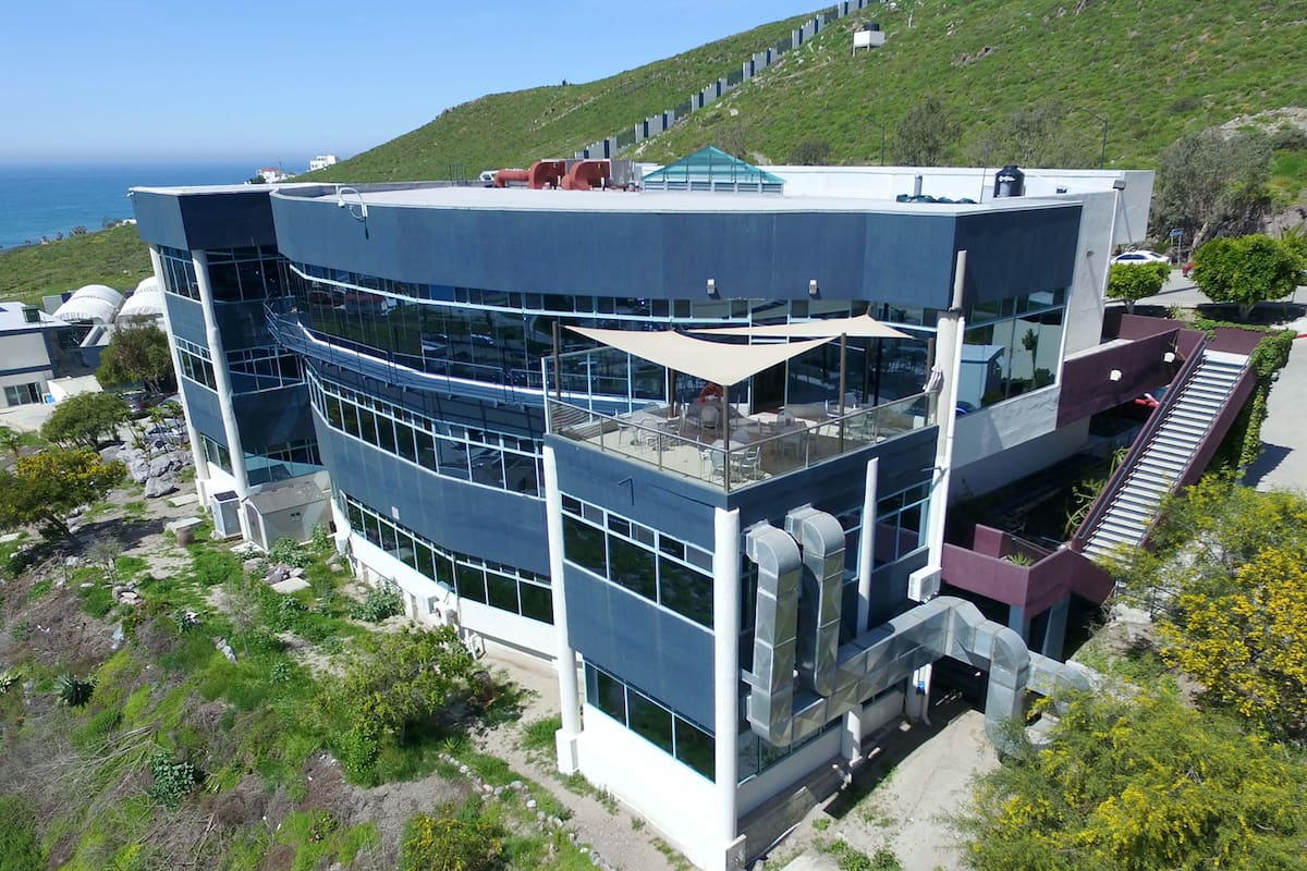 Cicese impartirá a diplomado sobre la prevención de plagas en la vid