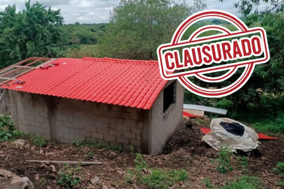 Construían sin permiso en zona protegida: clausuran obras dentro del Parque Nacional El Tepozteco en Morelos