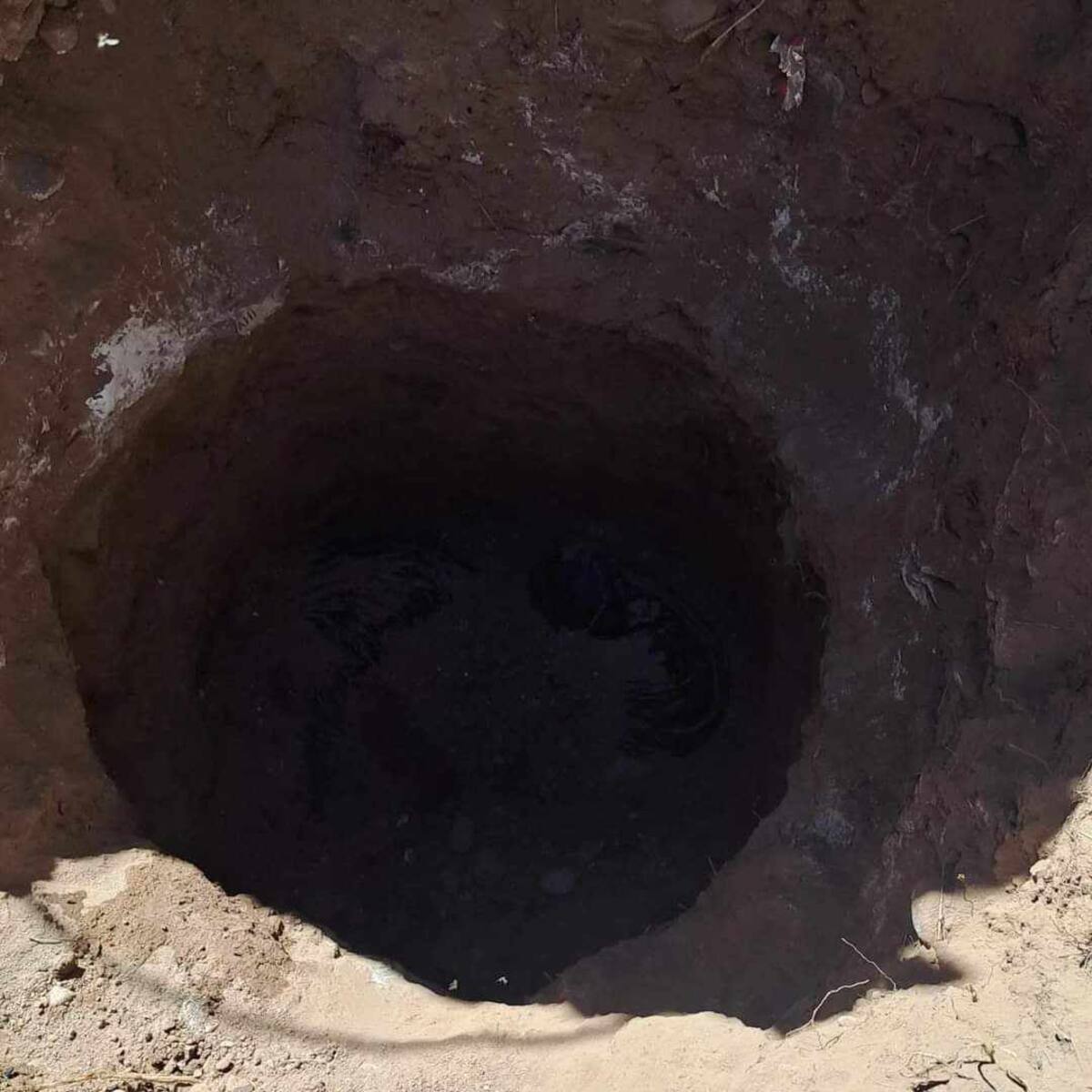 El Colectivo Rastreadoras encontró restos óseos a las 13:09 horas.