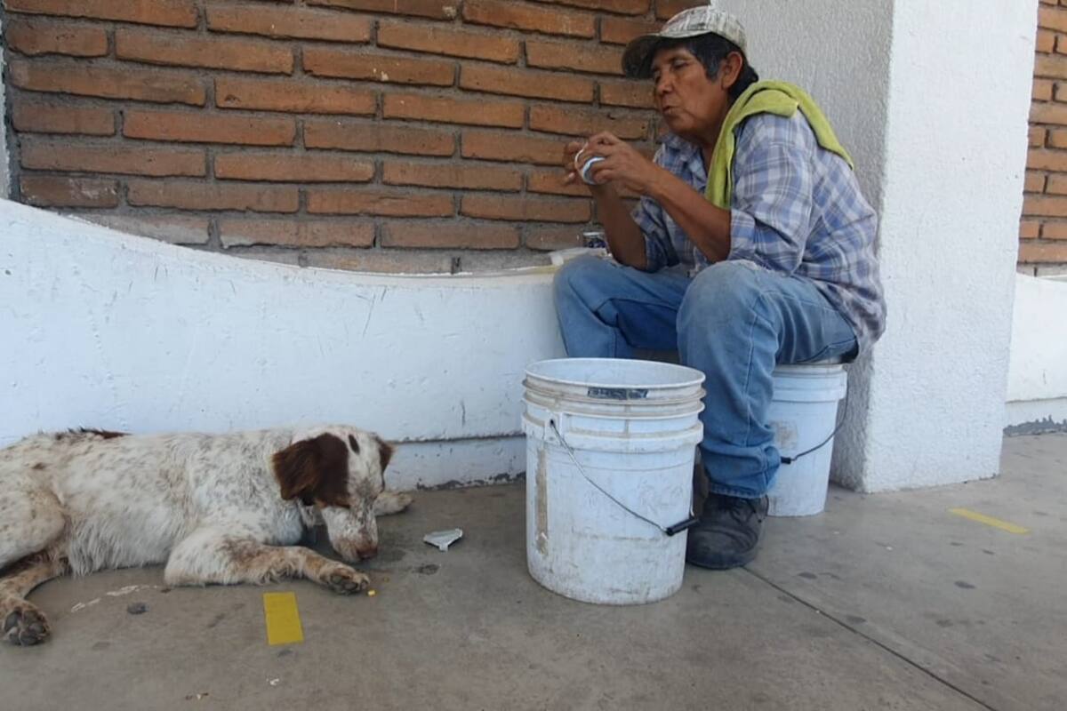 Considera a “Max” su mejor amigo
