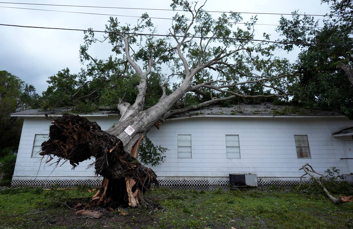 Un árbol derribado se ve sobre la iglesia Bethel después de que el huracán Beryl pasara por la zona, el lunes 8 de julio de 2024 en Van Vleck, Texas. (AP Foto/Eric Gay)