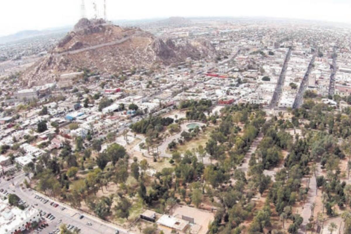 Forestación aún está “verde” en Hermosillo