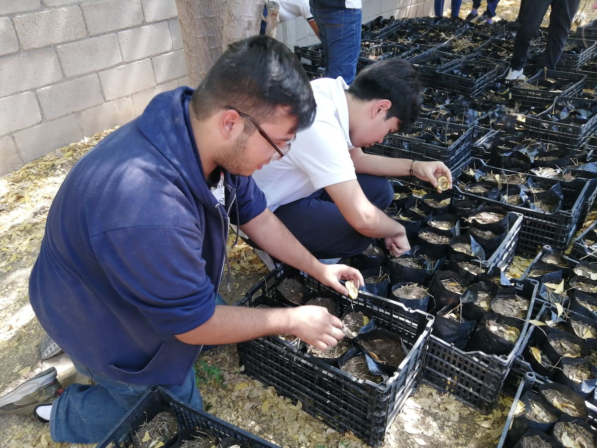 El vivero del CETMAR combina la producción de plantas con el aprendizaje de ecología y el trabajo colaborativo.