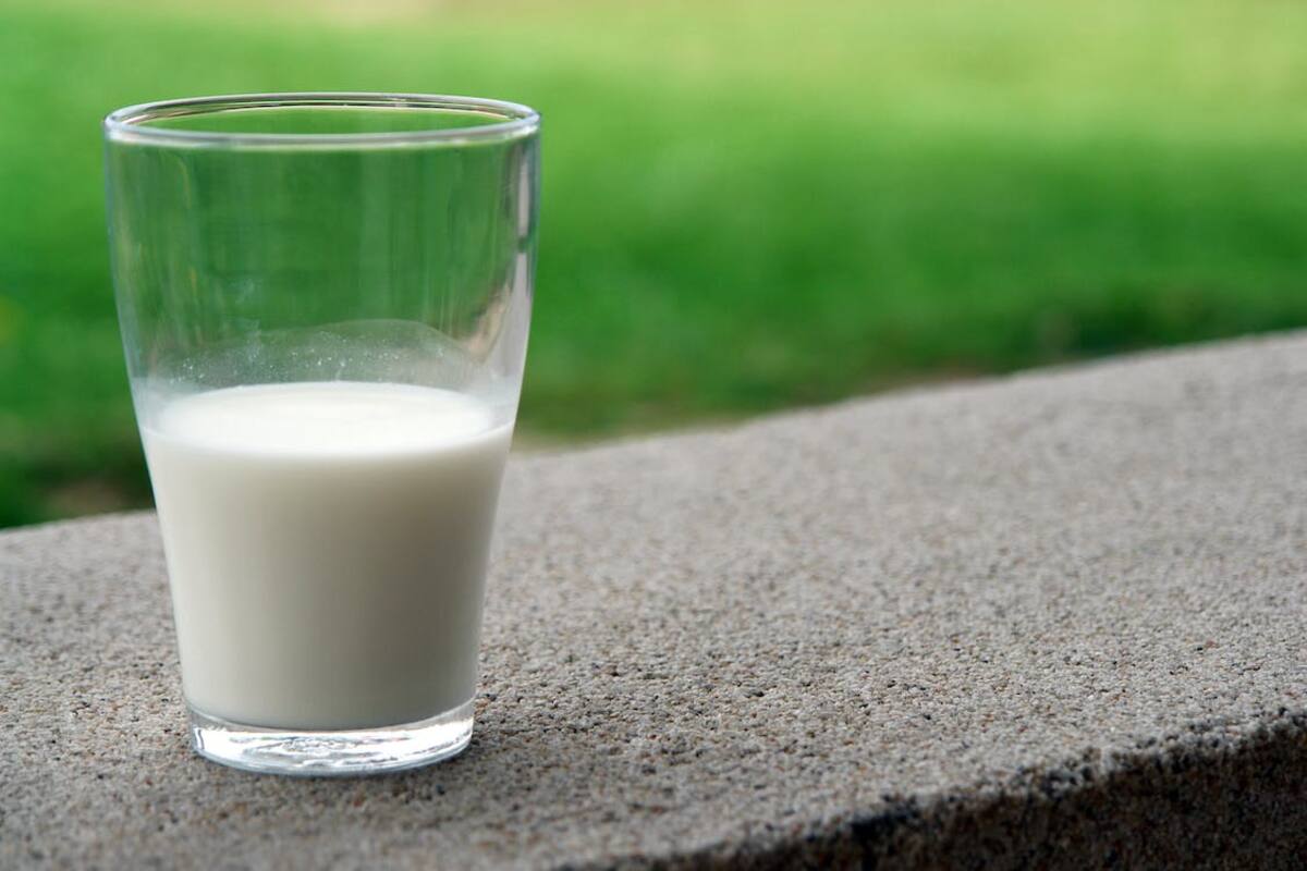 Qué efectos provoca en el cuerpo consumir grandes cantidades de leche diariamente, según Harvard
