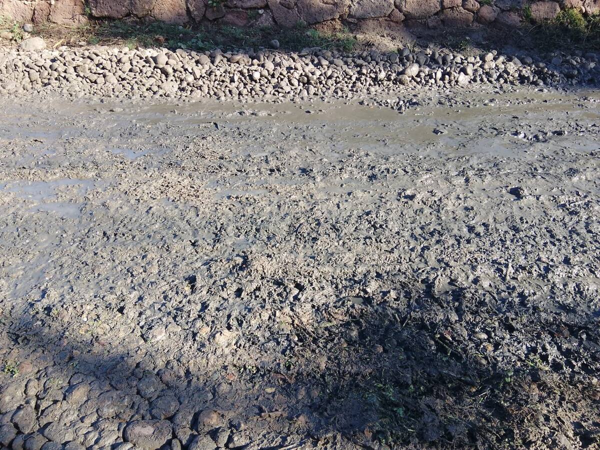Este problema se ha denunciado desde el año 2012 y siguen sin ser atendido. Foto: Cortesía