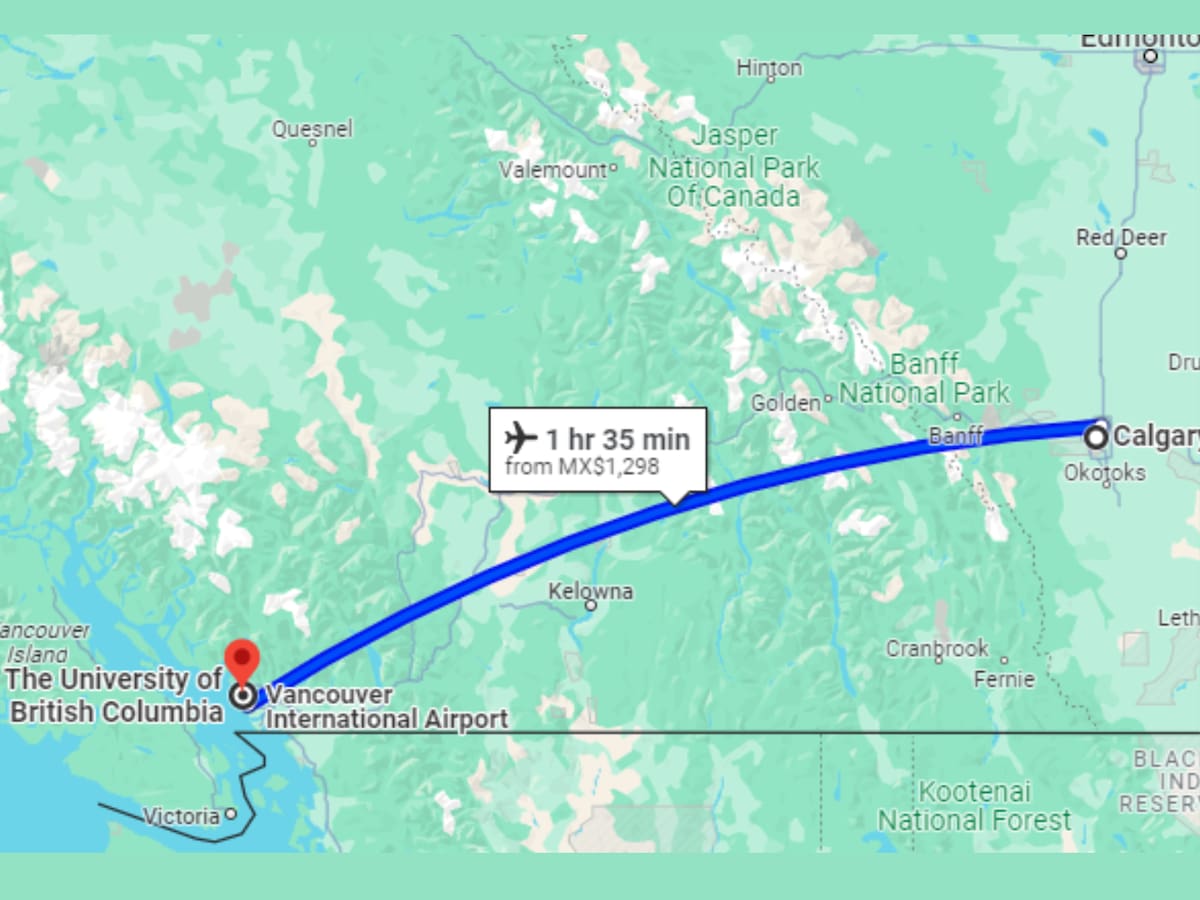 Google Maps