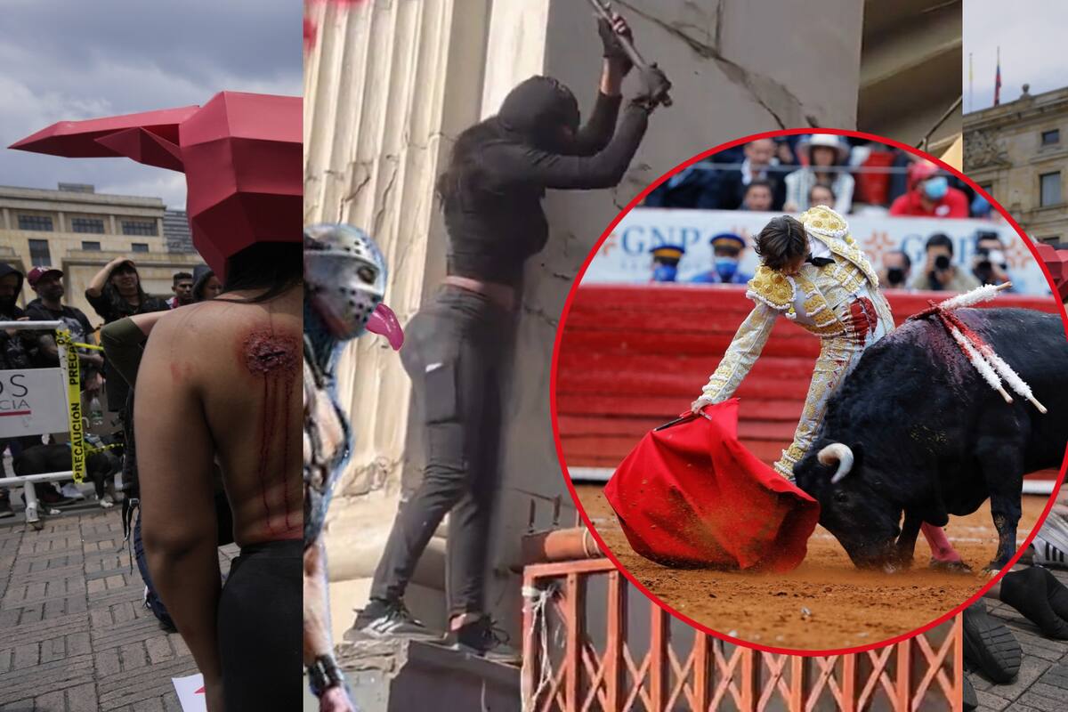 ¿Por qué las corridas de toros regresaron a México?