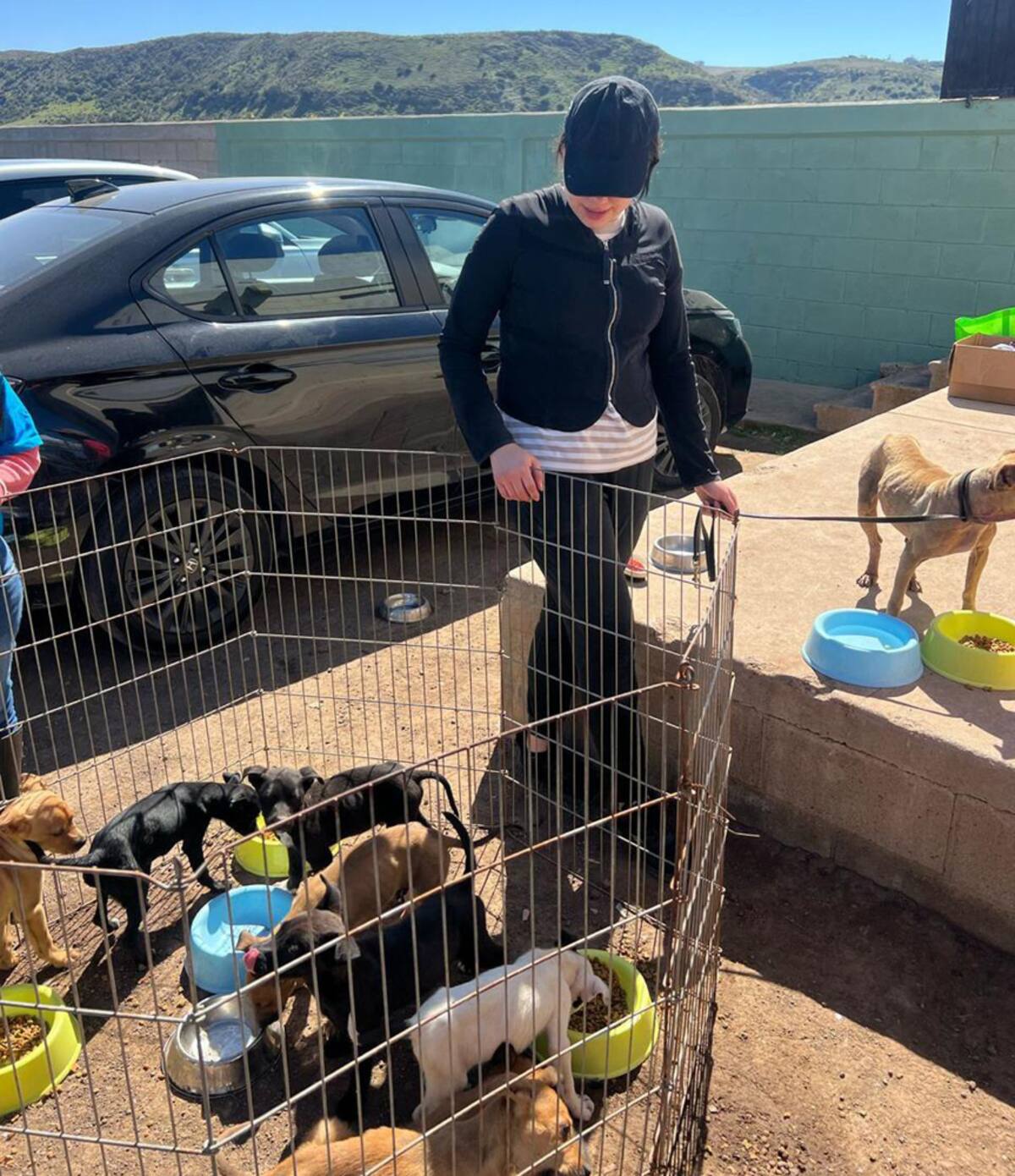 Los paseos caninos se realizan cada 15 días.