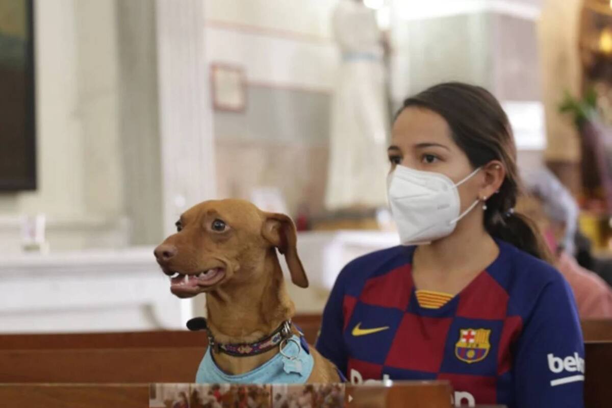 Personas en Puebla llevan a bendecir a sus perros
