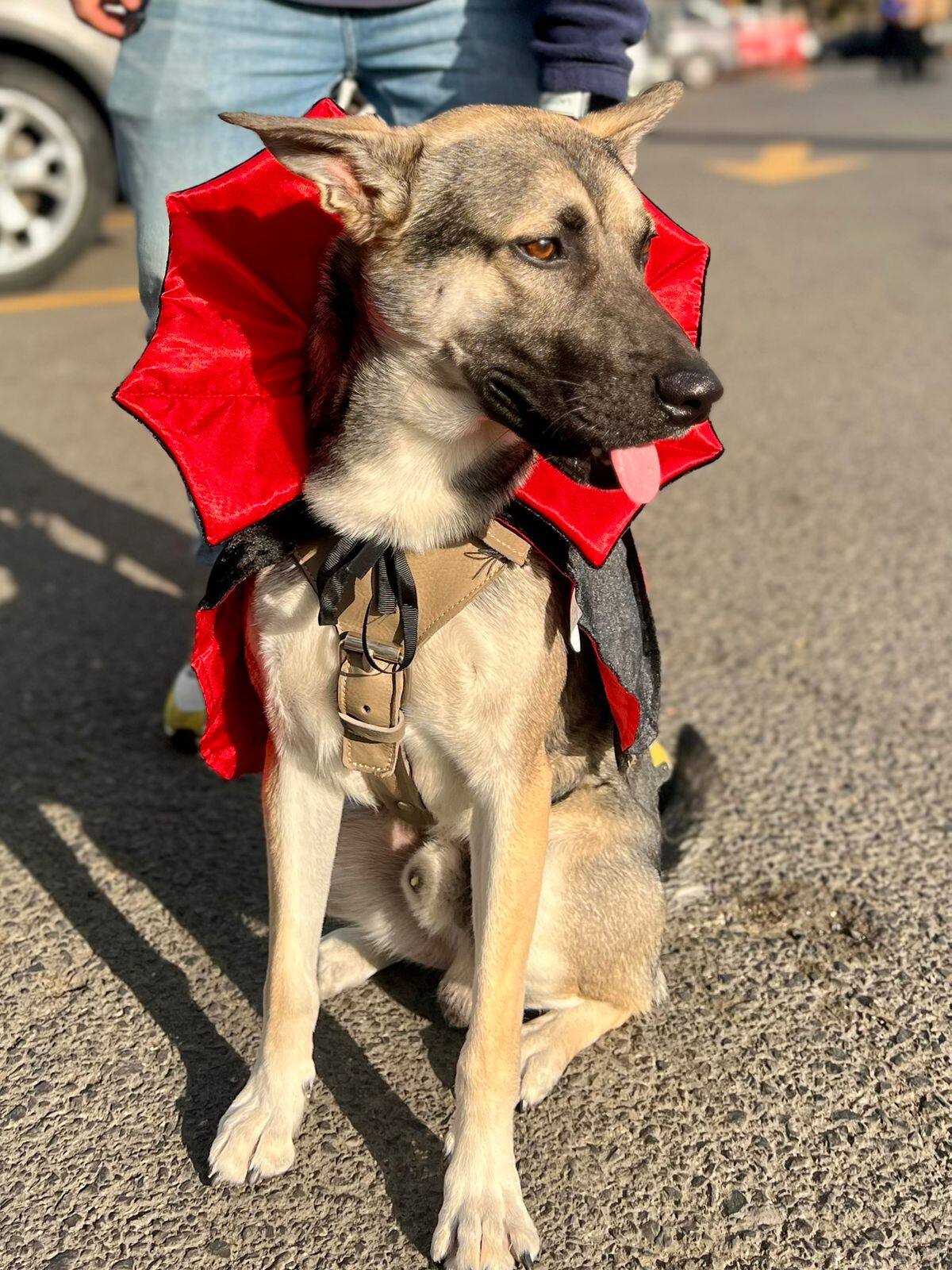 Foto: Leonardo González