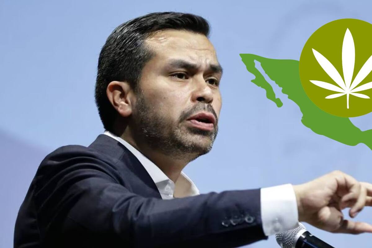 Álvarez Máynez financiará su Plan de Pacificación Nacional con la regulación de la mariguana