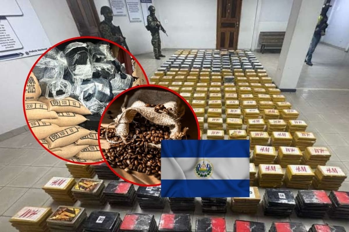 Localizan más de mil paquetes de droga en contenedor de café que salió de El Salvador rumbo a Bélgica; autoridades investigan posible manipulación