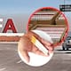 Autoridades detectaron en el AIFA un envío de 84 mil cigarrillos presuntamente apócrifos procedente de Bélgica durante revisión en la Aduana