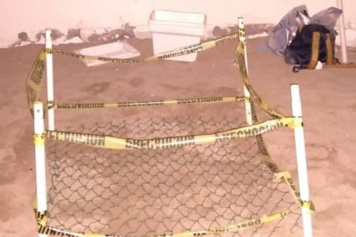 VIDEO: Desova tortuga gomina 84 huevos en playa Miramar