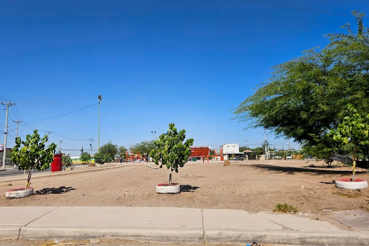 La falta de áreas verdes y la mala calidad de aire que enfrenta Mexicali es uno de los temas ecológicos prioritarios a combatir
