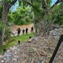 Dos personas siguen desaparecidas tras ser arrastradas por un arroyo en Nogales; las buscan equipos de emergencia de Sonora y Arizona