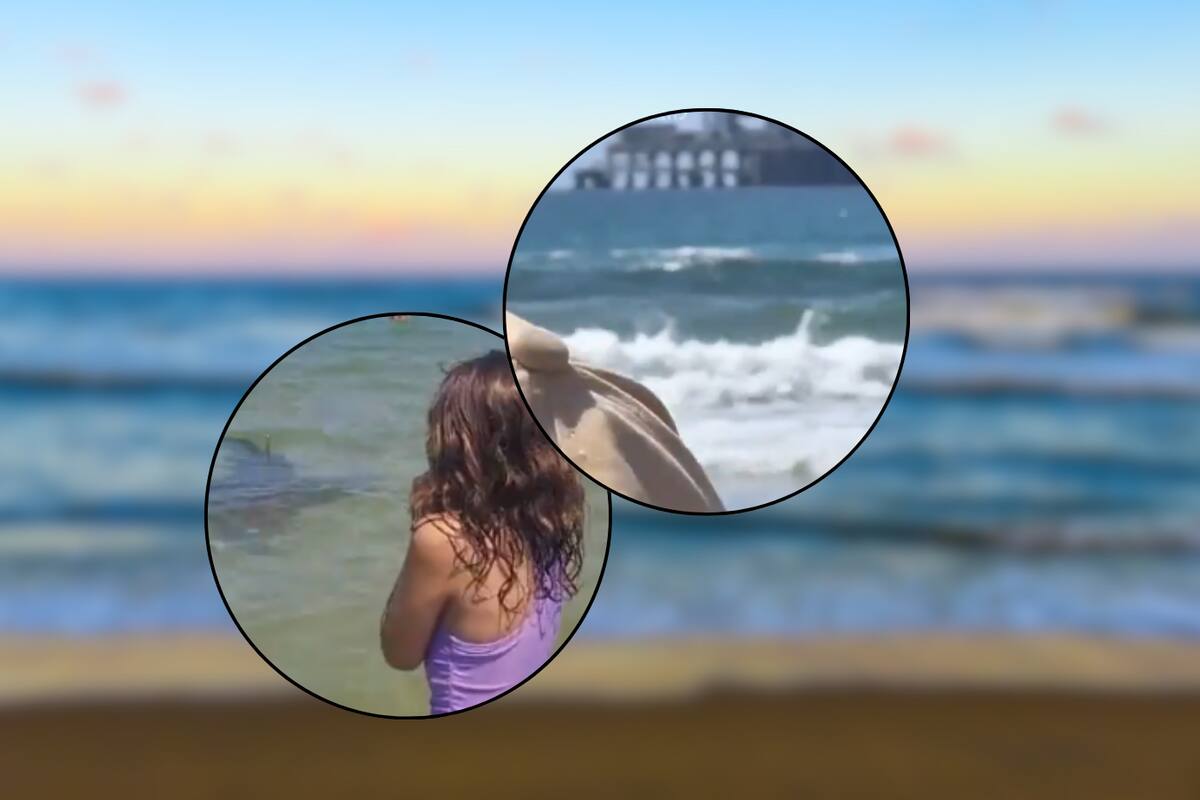 Captan en video los últimos momentos de turista atacado por tiburón